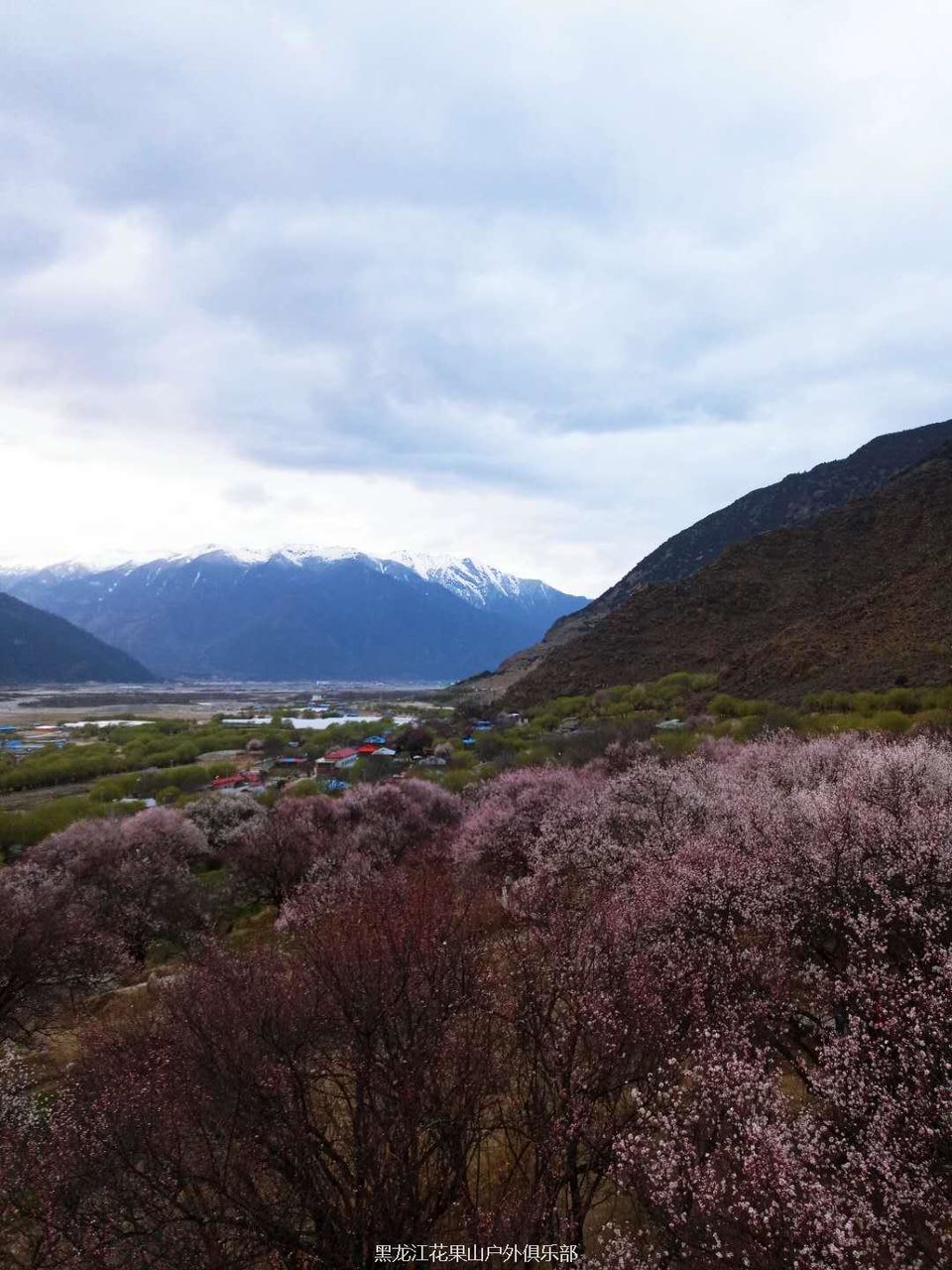 微信图片_20180325200301