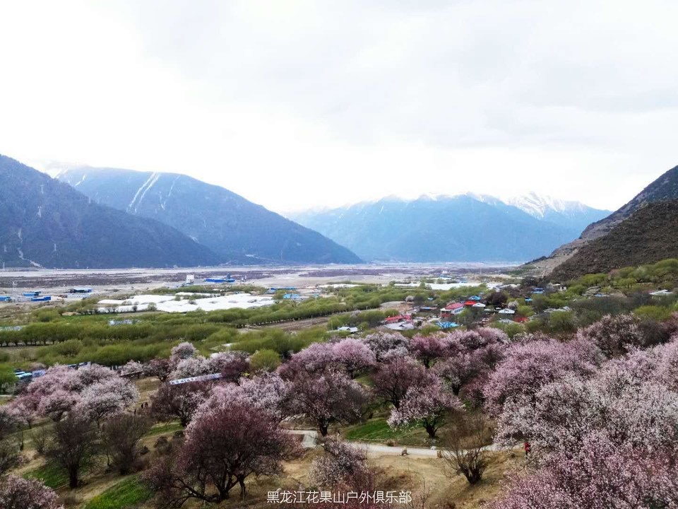 微信图片_20180325200319