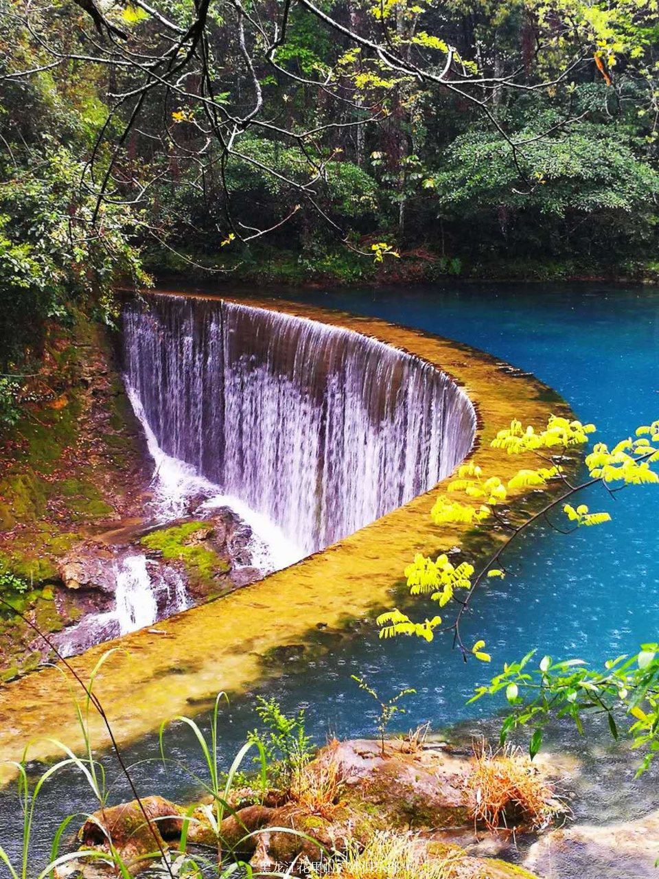 微信图片_20180325200842