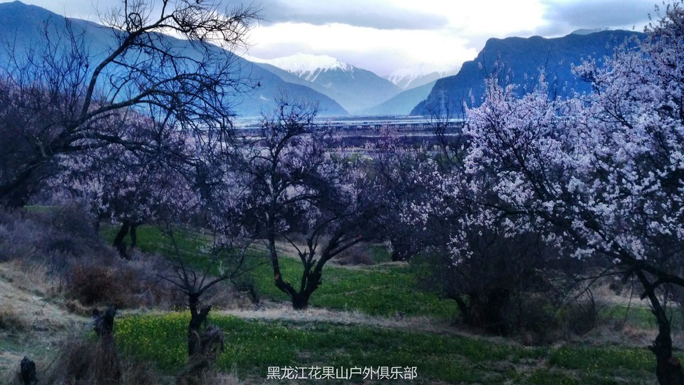 微信图片_20180325223450