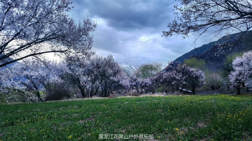 微信图片_20180325223134