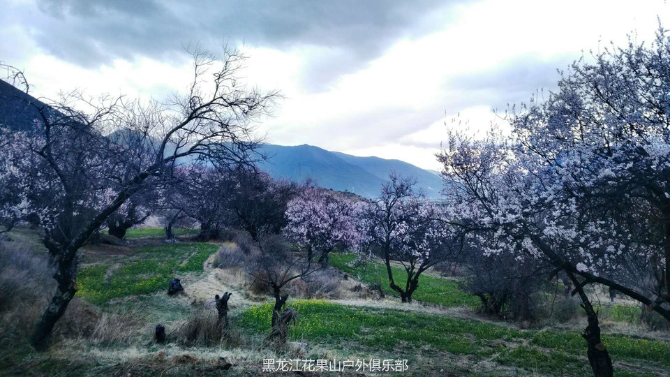 微信图片_20180325223139