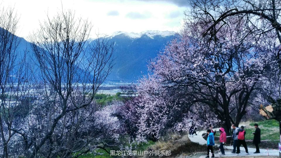 微信图片_20180325223147