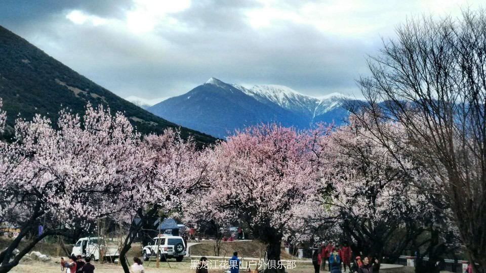 微信图片_20180325223157