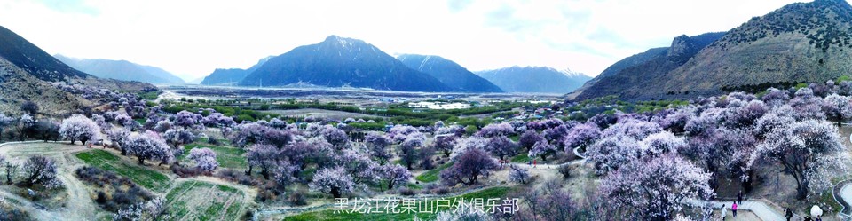 微信图片_20180325224513