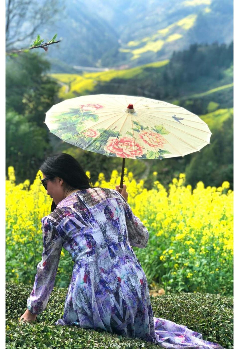 微信图片_20180327225453