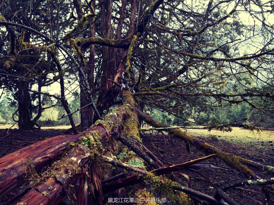 微信图片_20180327225814