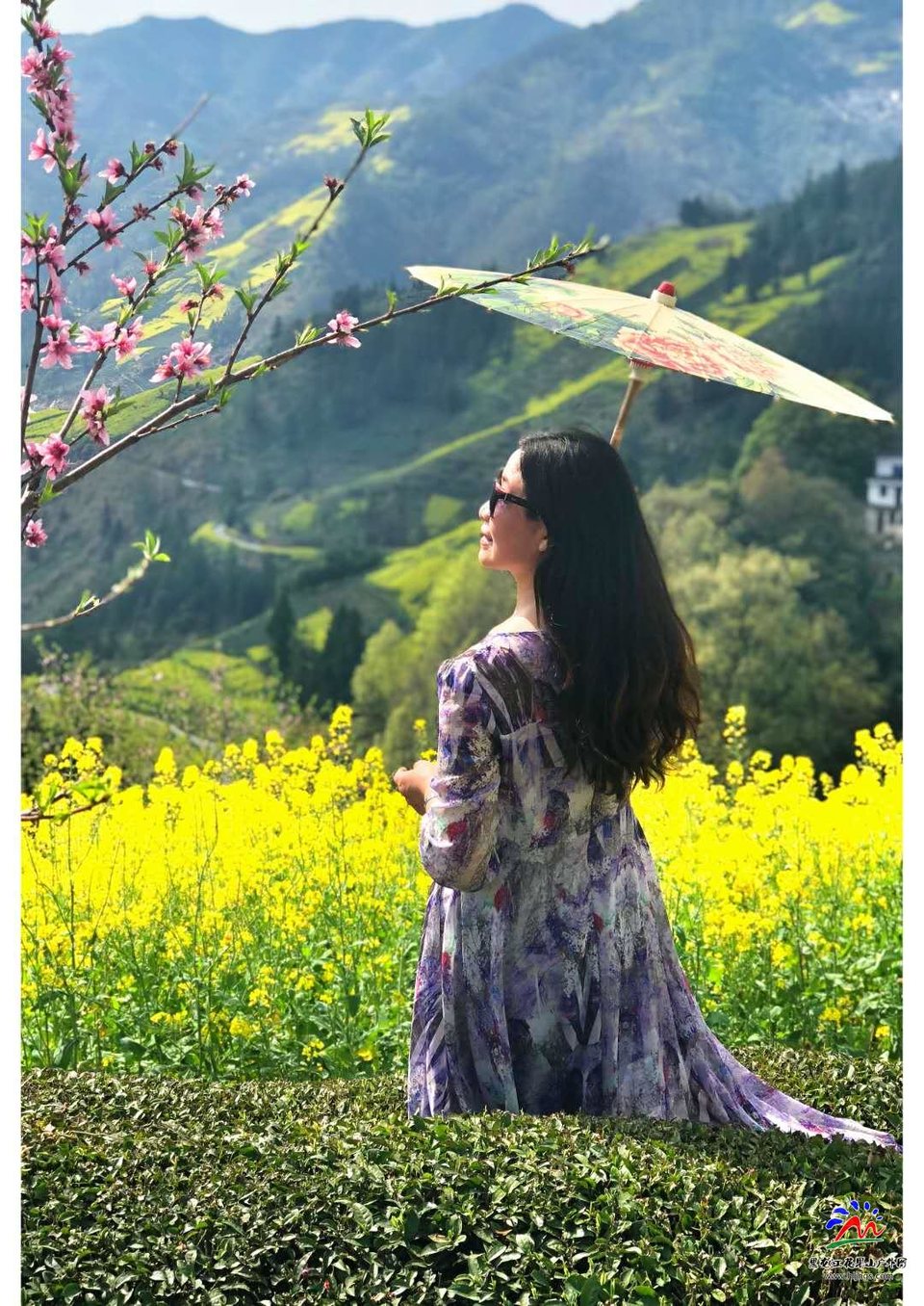 微信图片_20180327225510