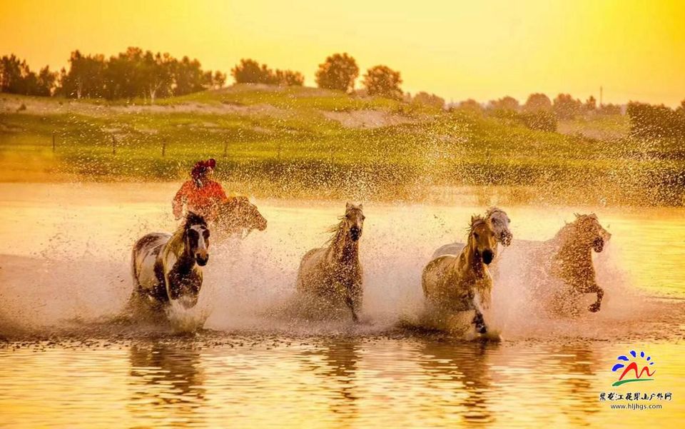 20180922坝上草原 (23)