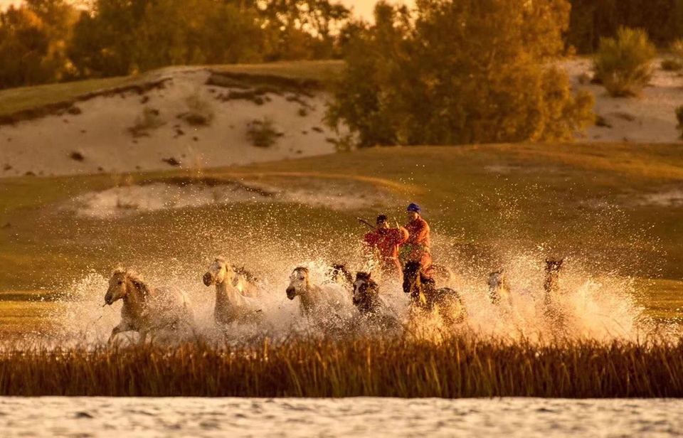20180922坝上草原 (26)