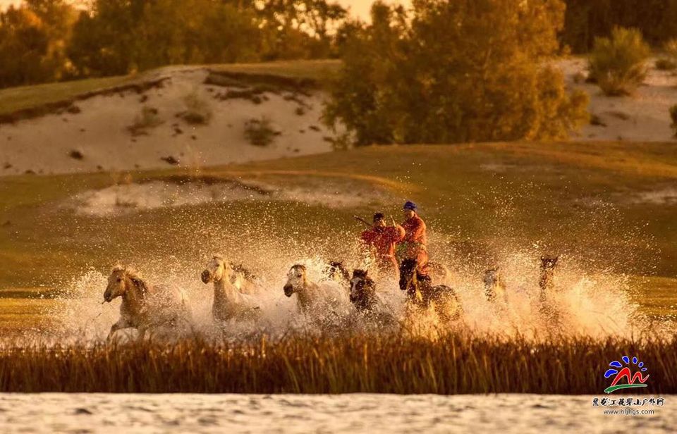 20180922坝上草原 (27)