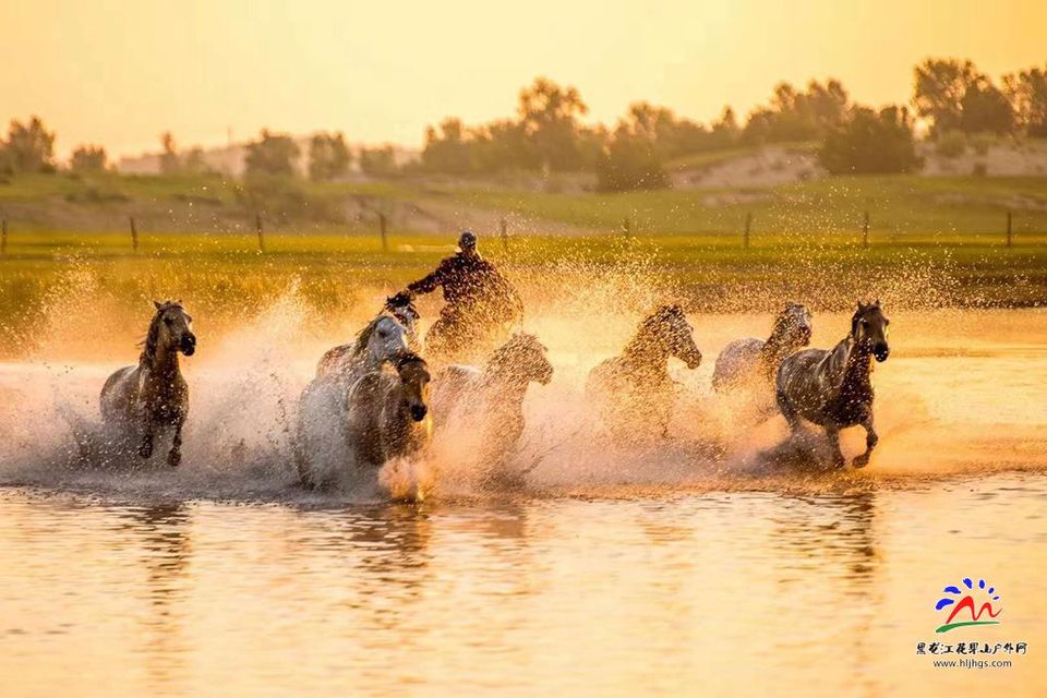 20180922坝上草原 (28)