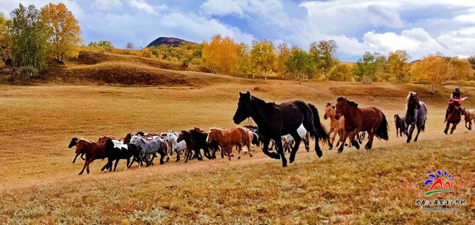 20180922坝上草原 (37)
