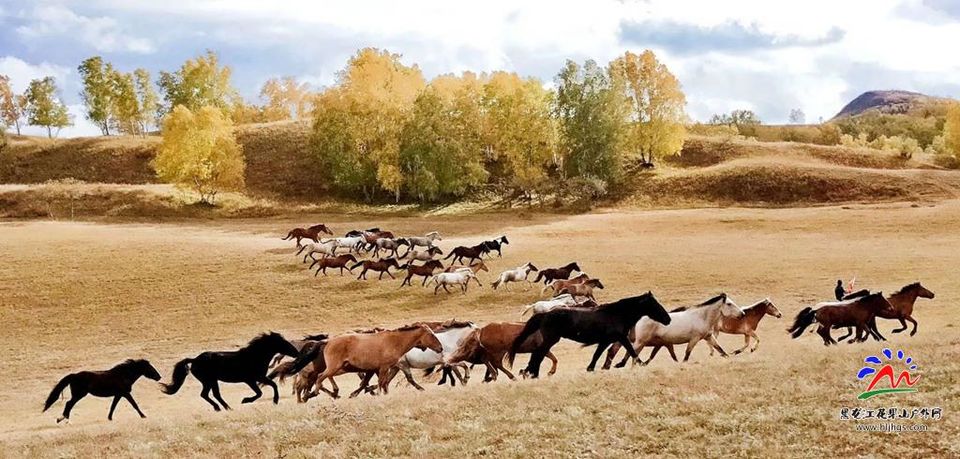 20180922坝上草原 (38)