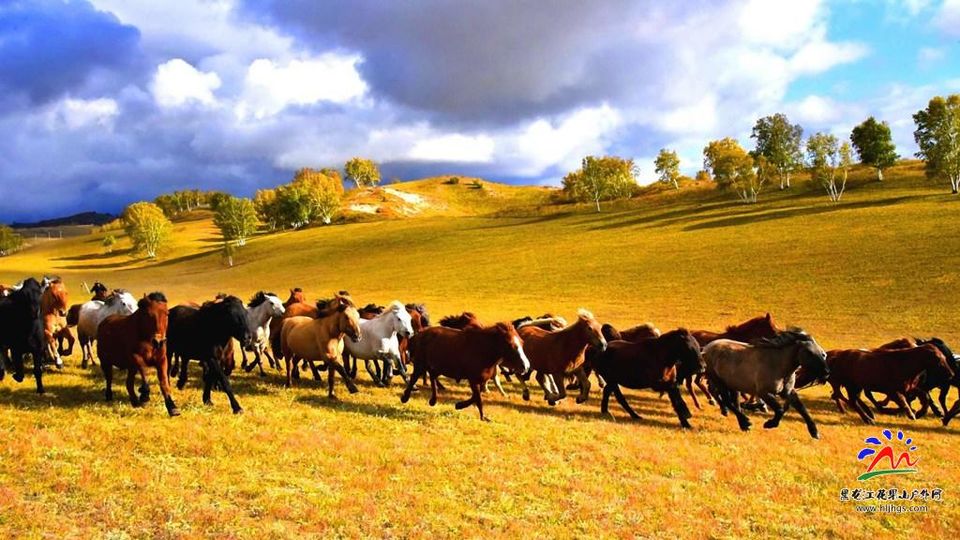 20180922坝上草原 (48)