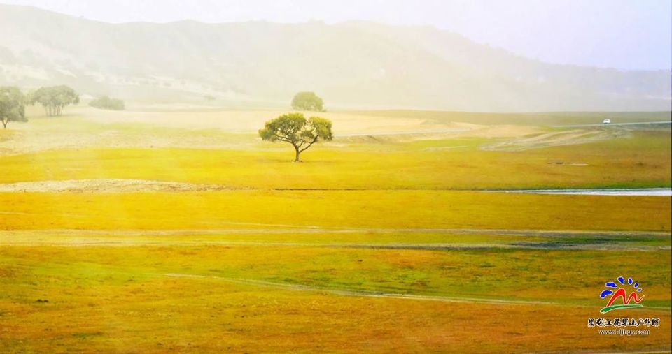 20180922坝上草原 (57)