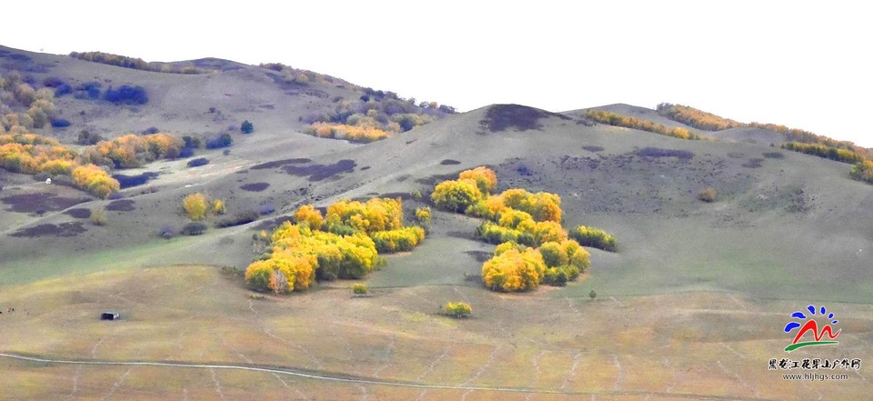 20180922坝上草原 (60)