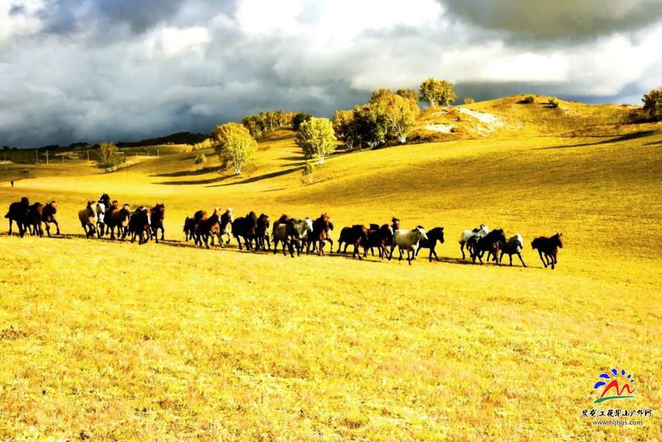 20180922坝上草原 (66)