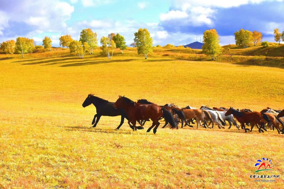 20180922坝上草原 (67)