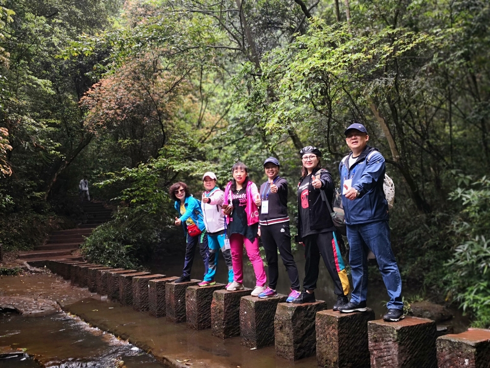 微信图片_20190513055754