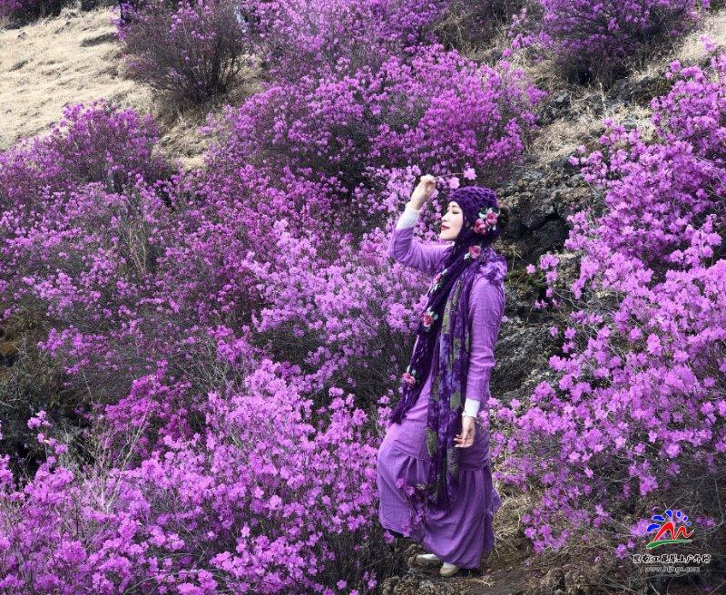 微信图片_20190514121018