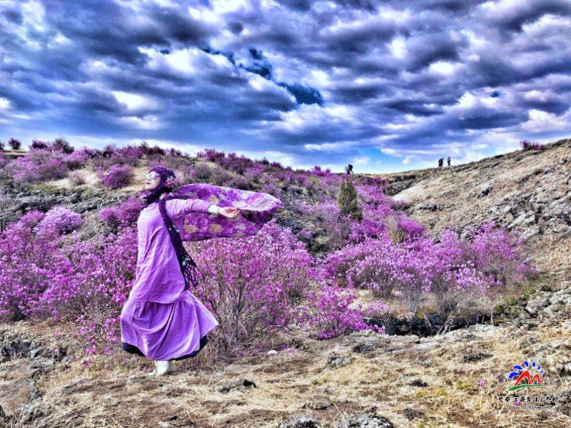 微信图片_20190514121038