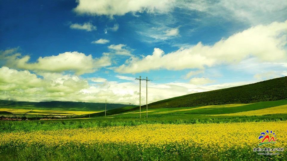 微信图片_20190715110742