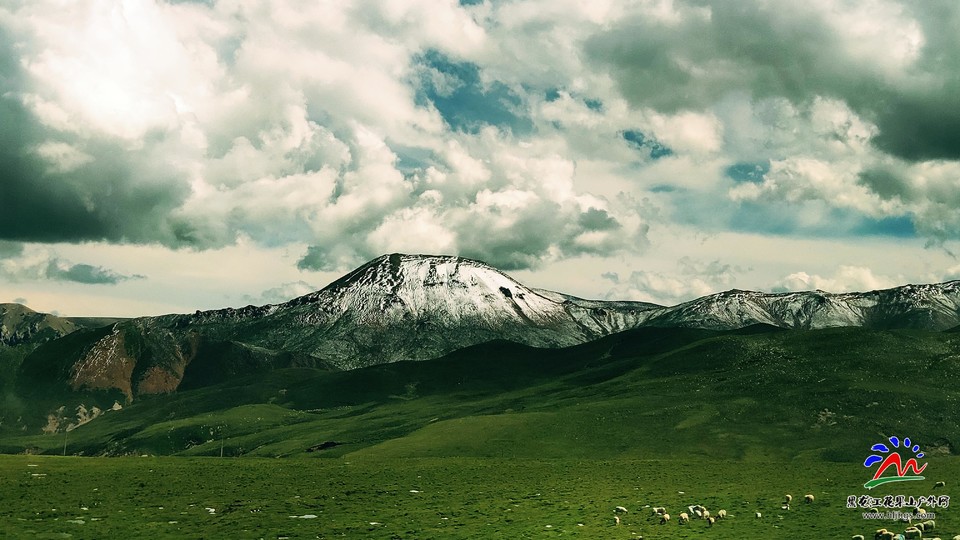 微信图片_20190715105947