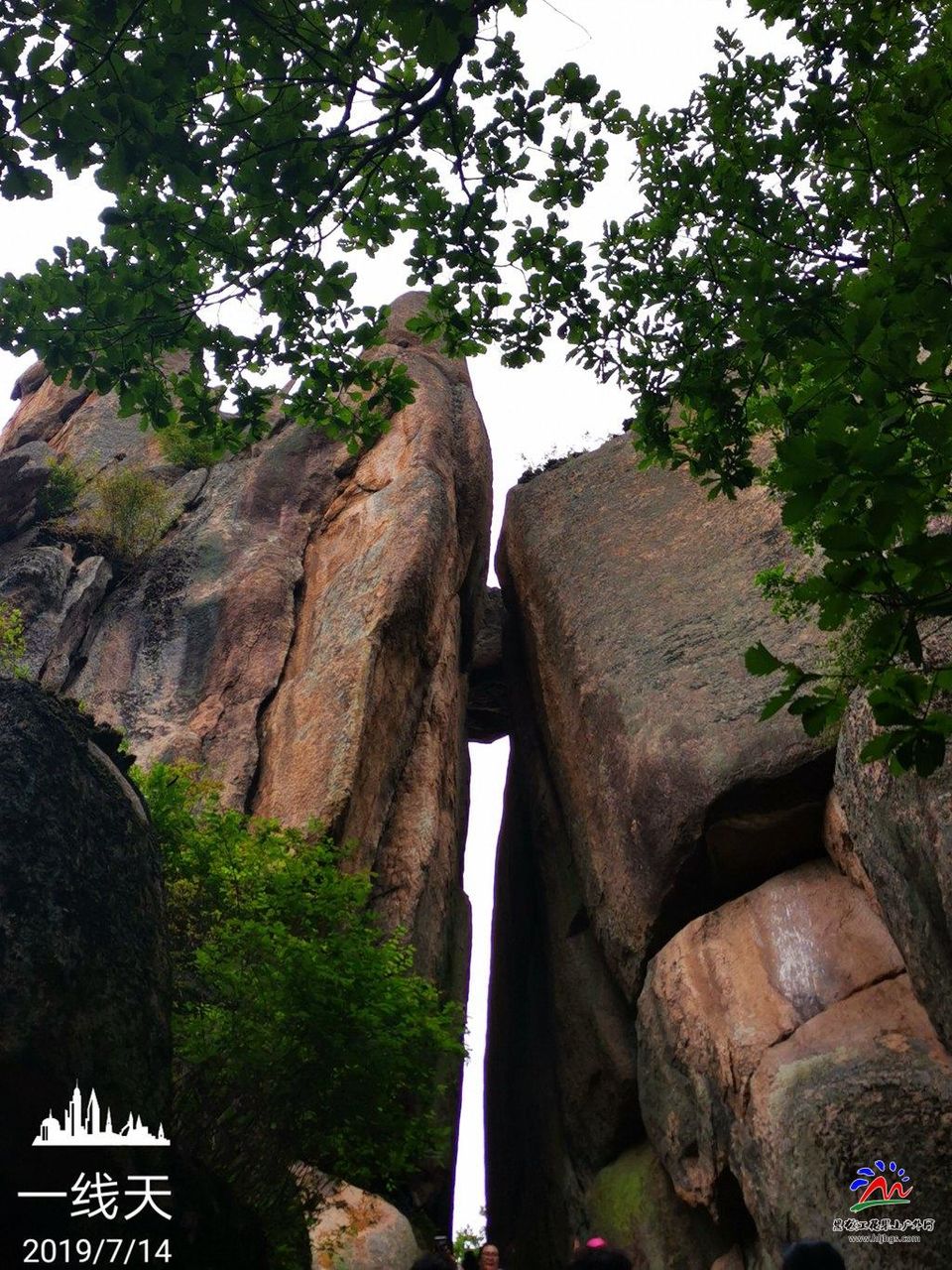 微信图片_20190715075402