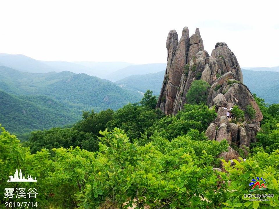 微信图片_20190715075414