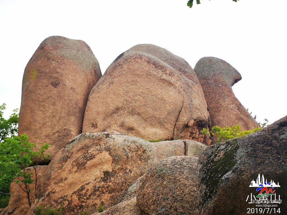 微信图片_20190715075430