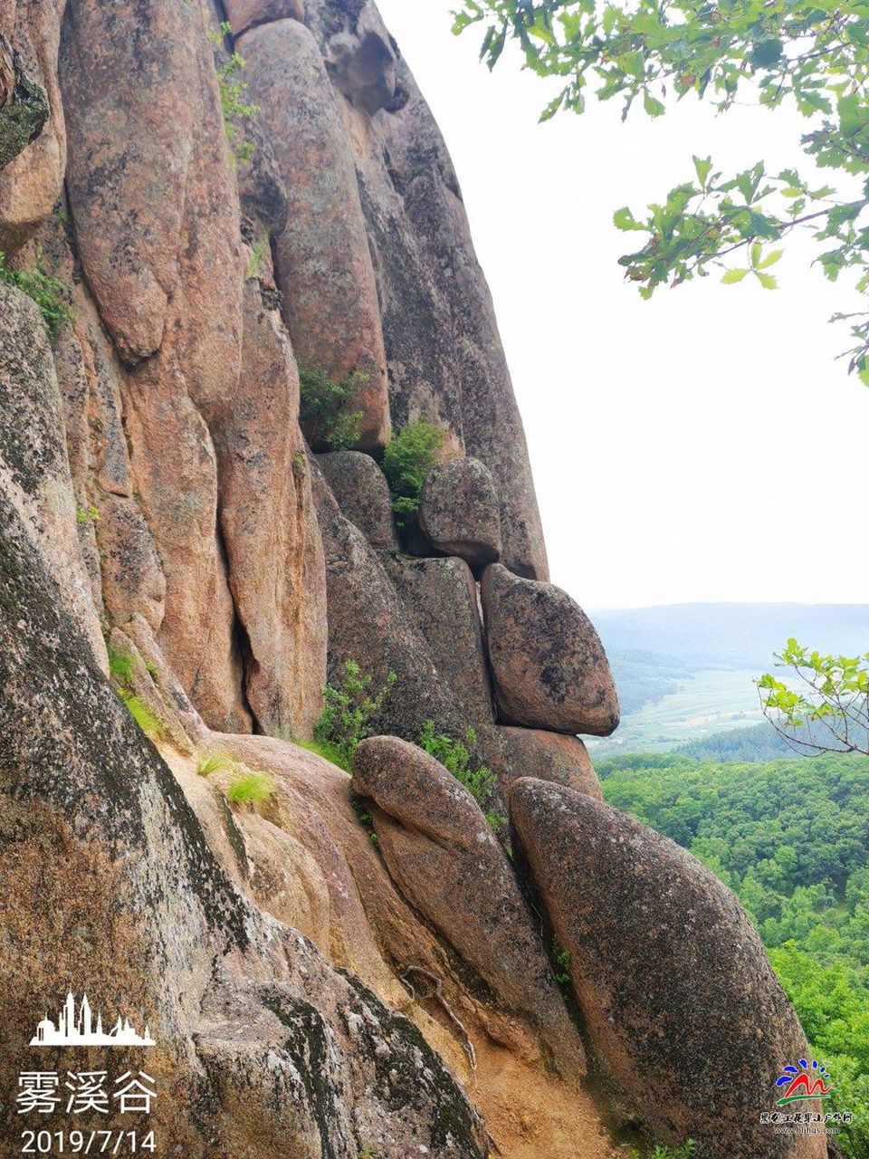 微信图片_20190715075448
