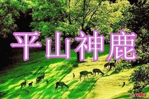 5月1/3日●欢乐假期●多倍快乐●平山神鹿●与鹿宝宝羊驼游戏●听鹿鸣赏翠谷戏水游山●农家美食休闲游【85含餐车+票保险】