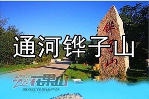 5月4日神奇灵秀-原始清新-铧子山小兴安岭彩林寻春/山花烂漫达子香杜鹃花/挑战玻璃栈道休闲登山【90元含门票+车】