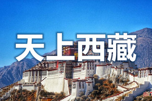 8月2-9日【西藏全景◆赠藏式旅拍】纳木措◆羊湖◆巴松措◆雍布拉康◆雅鲁藏布峡谷◆卡若拉冰川◆扎什伦布寺◆达古峡谷◆鲁朗