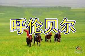 纯玩无购物 6月27-30/7月2-5日【呼伦贝尔大草原小车穿越】黑山头根河◆莫日格勒河◆临江室韦◆额尔古纳