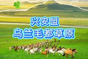 6月12-14日【兴安盟-乌兰毛都草原】九曲乌兰河◆大安嫩江湾旅游区◆成吉思汗公园◆敖嫩湖◆葛根庙◆乌兰牧骑宫◆三日游 
