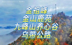 9月26-27/10月10-11日伊春乌带公路景观路赏秋●小兴安岭醉美秋色●透龙山●金祖峰云海●九峰山养心谷●金山鹿苑