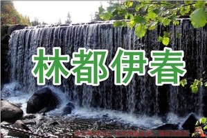 8月28-30日畅玩伊春三大景区林都伊春-深氧森呼吸五营森林公园/汤旺河石林/嘉茵恐龙园