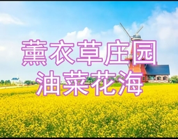 【散拼团】6月27/28日普罗旺斯薰衣草庄园油菜花海◆1200亩花海稻草人王国◆美如童话◆摄影休闲一日游【65元含车票】