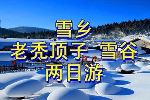 【纯玩雪乡2日】住雪乡景区一价全含雪地摩托◆走雪龙观冬坛◆冰雪画廊◆二人转或温泉◆梦幻家园◆雪韵大街◆马拉爬犁◆花棉袄