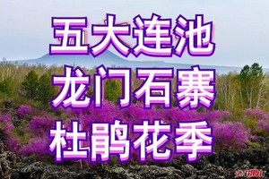 5月1-2日/3-4日【五大连池火山杜鹃季】五大连池◆龙门石寨◆赏火山杜鹃◆白龙湖◆温泊◆二龙眼泉◆北饮泉