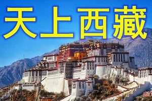 8月2-9日【西藏全景◆赠藏式旅拍】纳木措◆羊湖◆巴松措◆雍布拉康◆雅鲁藏布峡谷◆卡若拉冰川◆扎什伦布寺◆达古峡谷◆鲁朗