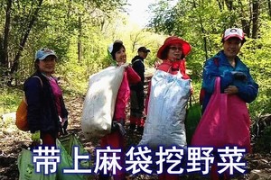 5月4/10日◆带着麻袋挖野菜◆花果山刺五加+野菜采摘-秘境专车◆阿凡达山◆穿山越岭◆赏达子香【45元/含车+保险】