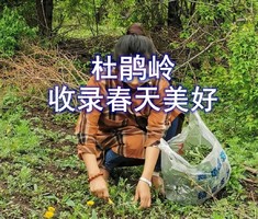 【野山穿越采野菜】4月26日小岭杜鹃岭-挖野菜◆刺五加◆收录春天美好◆农家美食◆登山一日游【55元含餐+车+保险】