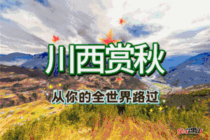 出票 10月23-6日【川西彩林盛宴】毕棚沟◆奶子沟◆稻城亚丁◆独家秘境-贡嘎雪山日照金山◆四姑娘山◆稻城亚丁◆格聂之眼