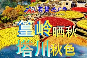 开始出票 11月6-14日【皖南金秋全景】婺源◆篁岭晒秋◆石城雾枫◆菊径◆塔川秋色◆江湾◆望仙谷◆景德镇◆宏村◆黄山李坑
