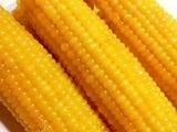 东北有机速冻玉米一箱40棒，这批到货，特级玉米，都是满尖的，一箱40棒103包邮同城当日达