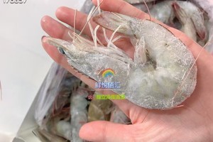 王牌盐冻大虾，2盒178元，3斤一盒大含量，王牌盐冻3040虾个头大，虾鲜肉弹超好吃