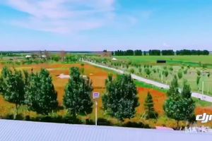 红马爱丽丝庄园-1